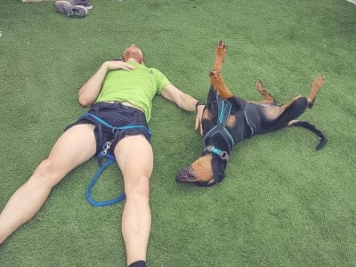 [Training tips] Optimiser la récupération de mon chien après l’effort