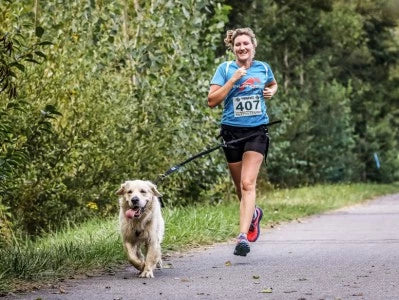 Qu'est-ce que le canicross et quel matériel utiliser ?