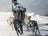 [Training Tips] Comment entraîner la force de mon chien de sport ?