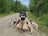 [Training Tips] Entraînement en endurance de mon chien de sport.
