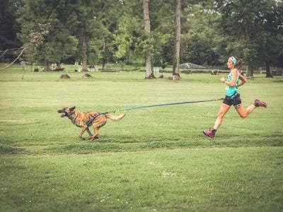 [Training tips] Comment entraîner la  vitesse de mon chien de sport ?