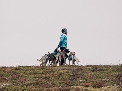 [Training tips] Bien échauffer mon chien avant un effort.