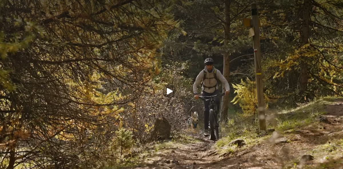 "Ride fast" avec notre harnais Storm