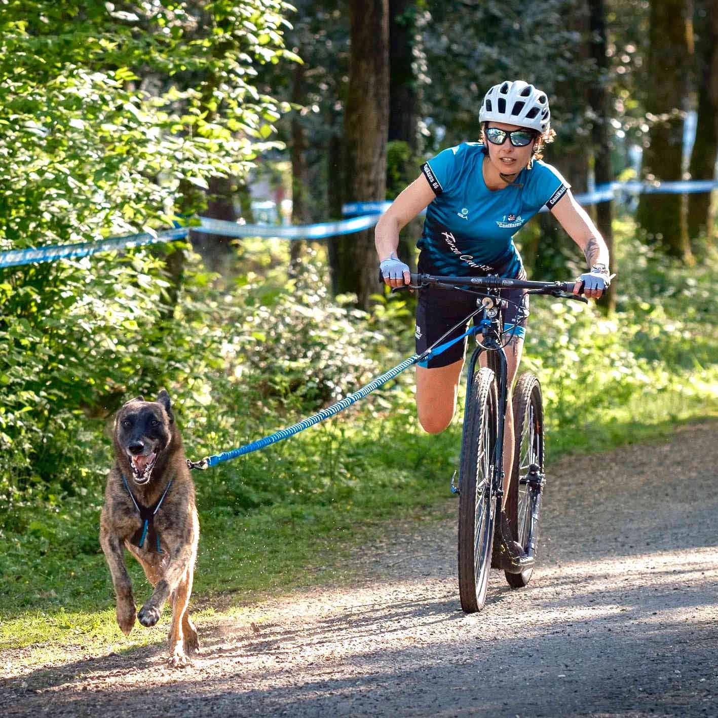 Bikejor Max - Hundegespann-Mountainbike-Gurtzeug