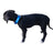 Summit - Collar para perro