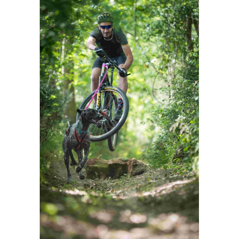 Bikejoring-Leine - Cani-VTT-Bikejoring-Leine