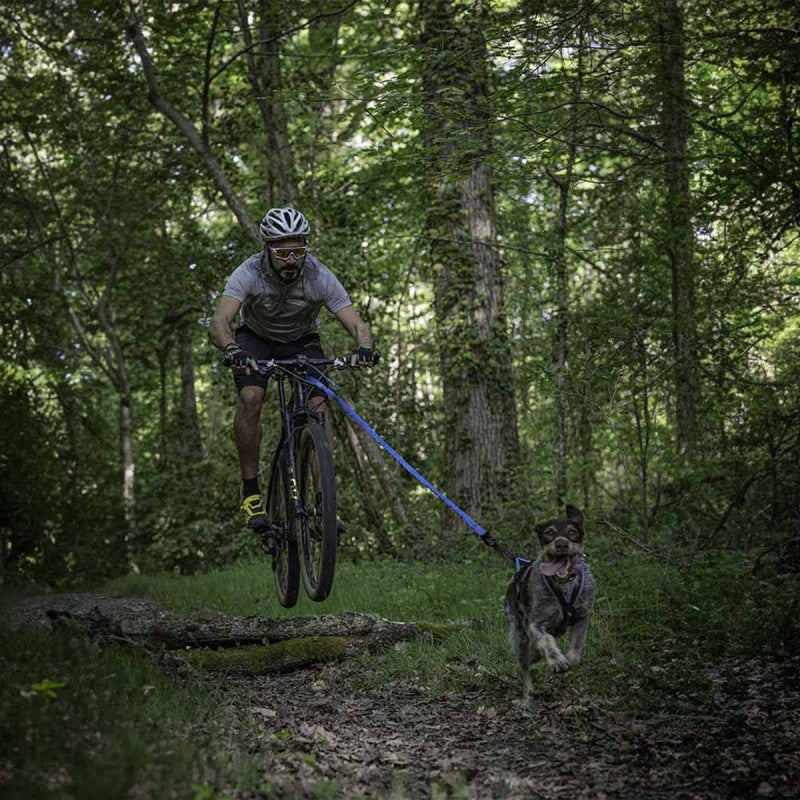 Bikejor Leash SD - Small Dog Canicross Leash