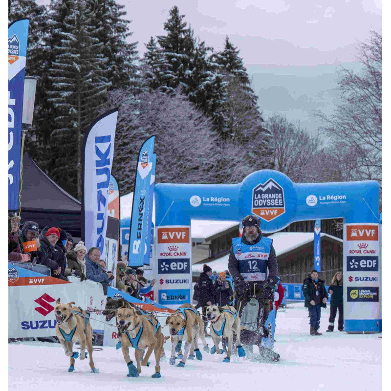 Snowmax 500 - Schneestiefel für Hunde