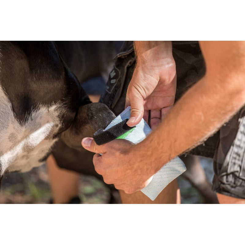 Bottine pour chien Armor
