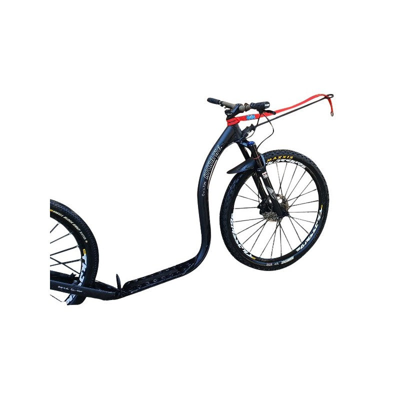 Bikejor Extension