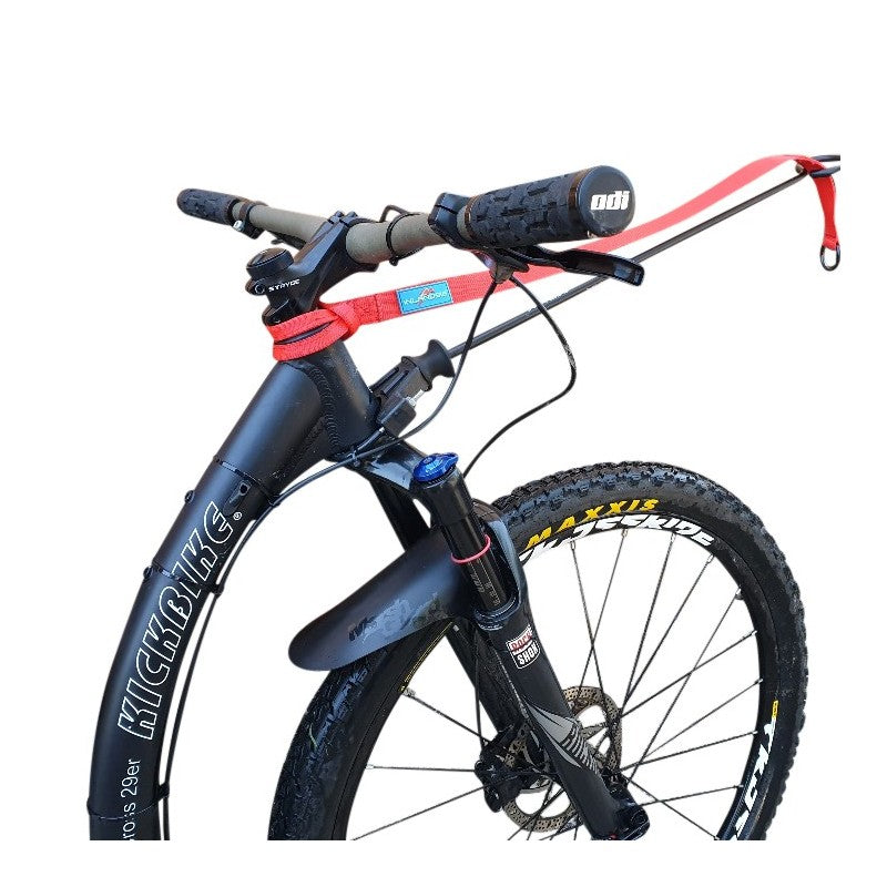 Bikejor Extension