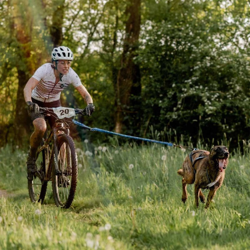 Bikejor Max UL - Barre cani-VTT