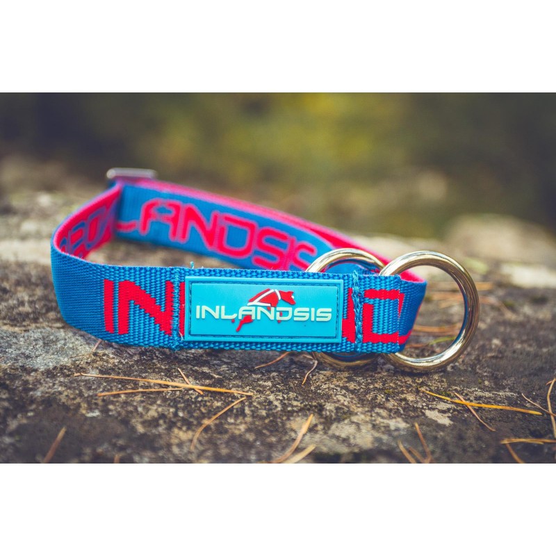 Névé SC - Collar semideslizante para perro