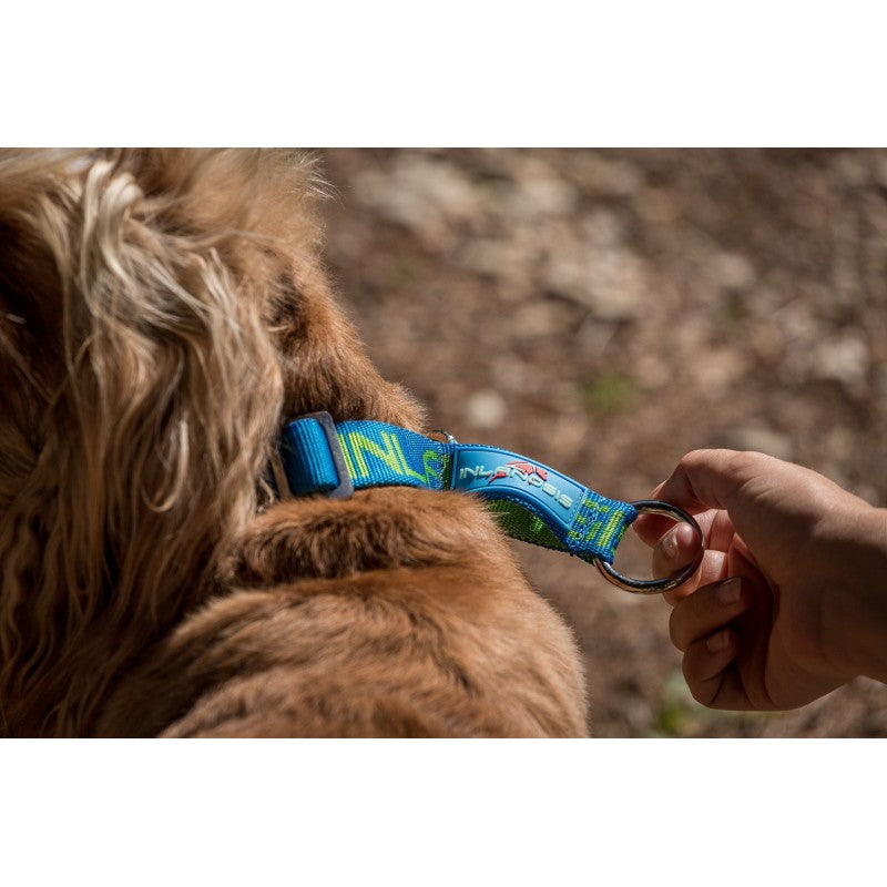 Névé SC - Collar semideslizante para perro
