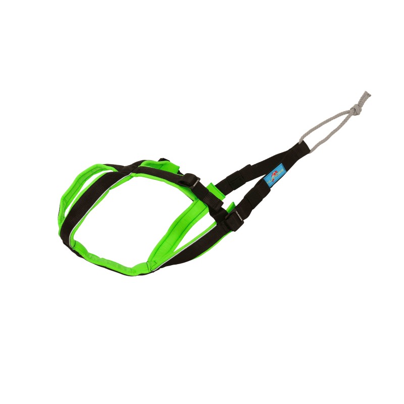 Open-Back - Adjustable canicross harness