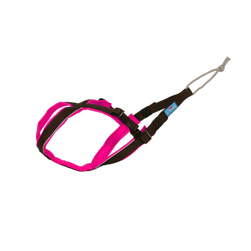 Open-Back - Adjustable canicross harness