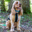 Open-Back - Adjustable canicross harness