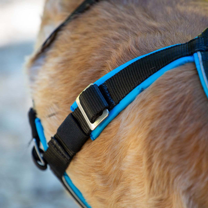 Open-Back - Adjustable canicross harness