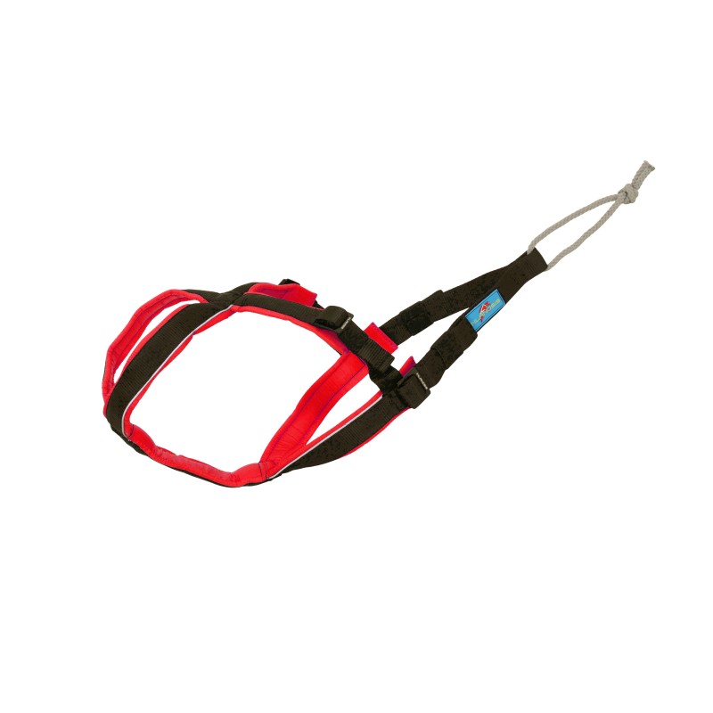 Open-Back - Adjustable canicross harness