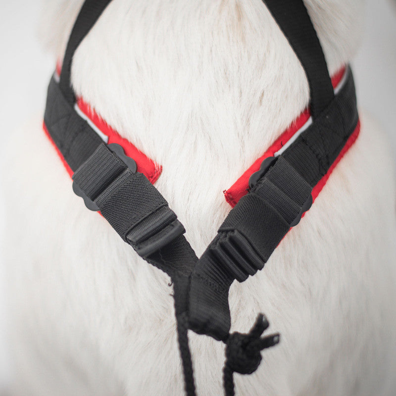Polar Evo - Harnais canicross réglable