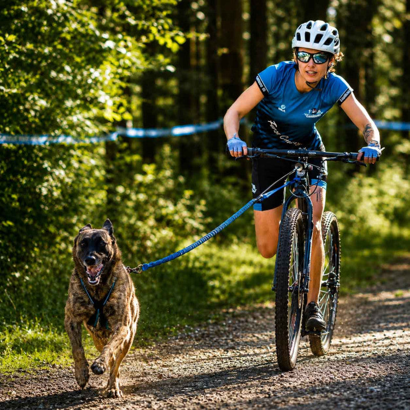 Polar Evo - Harnais canicross réglable