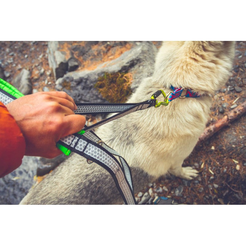 Polaris Evo - Ultra-durable high-visibility leash