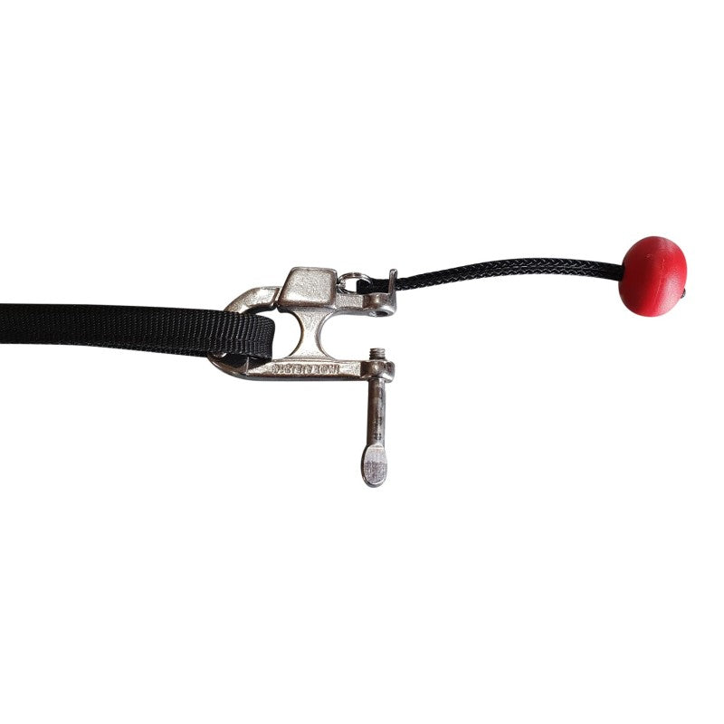 Skijor Pro - Laisse skijoring