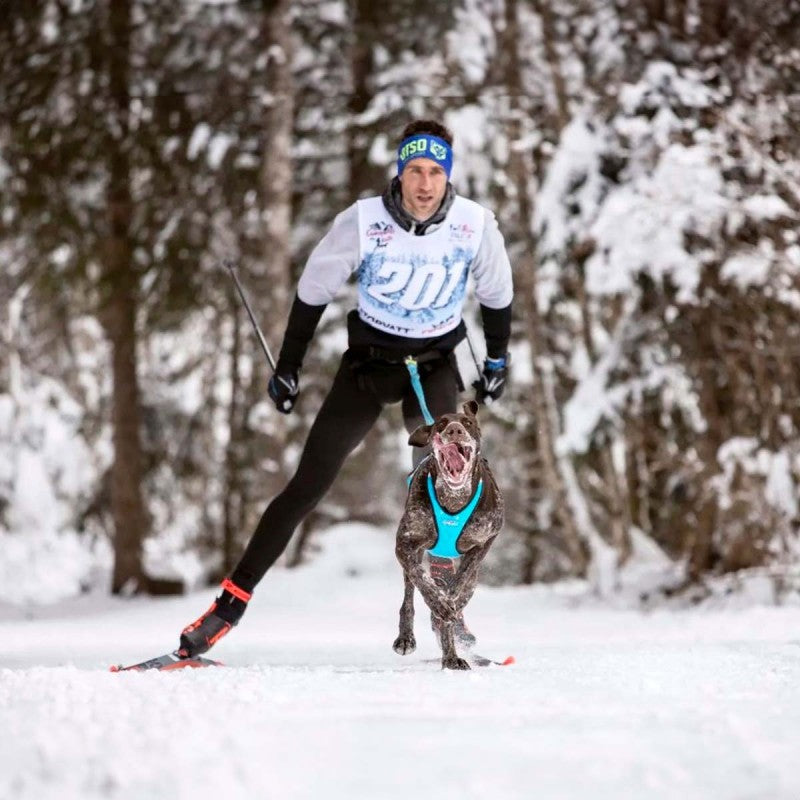 Skijor Pro - Laisse skijoring