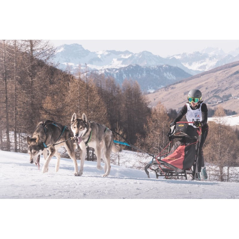 Twincross+ - Ligne de trait 2 chiens canicross