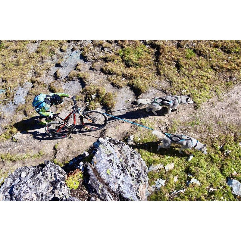 Twinjor - Ligne de trait 2 chiens cani-VTT