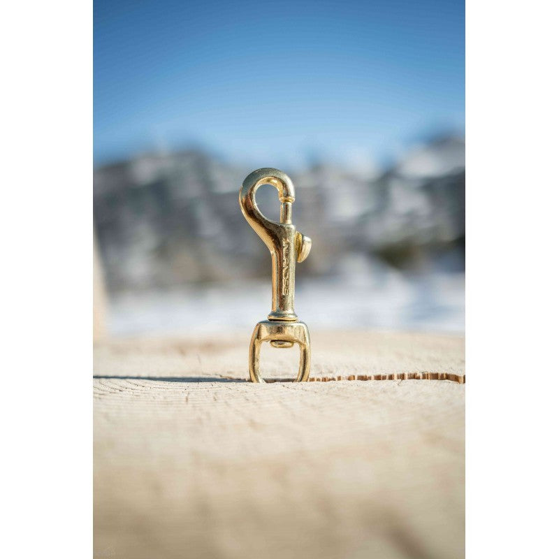 Mousqueton bronze naval pour chien