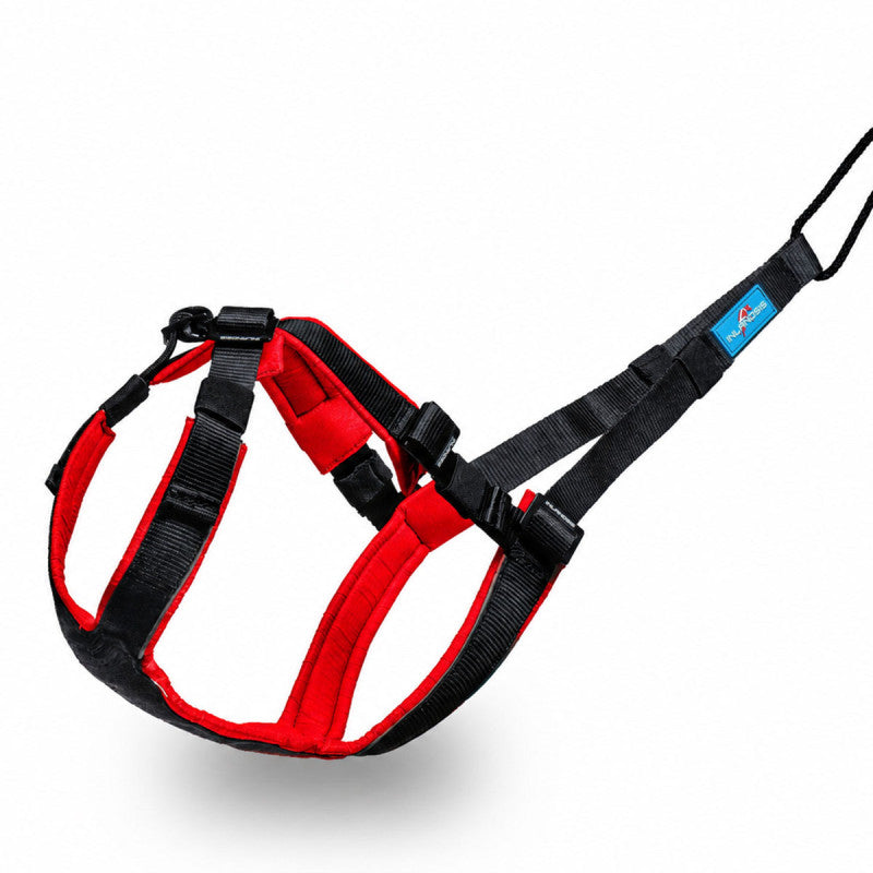 Open-Fit - Adjustable canicross harness