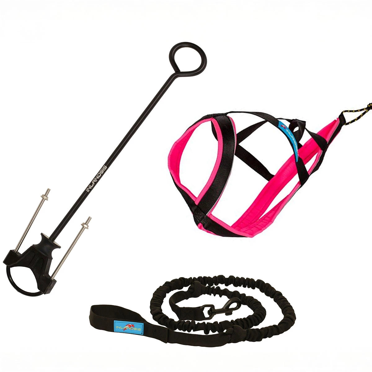 Beginner Bikejoring Package