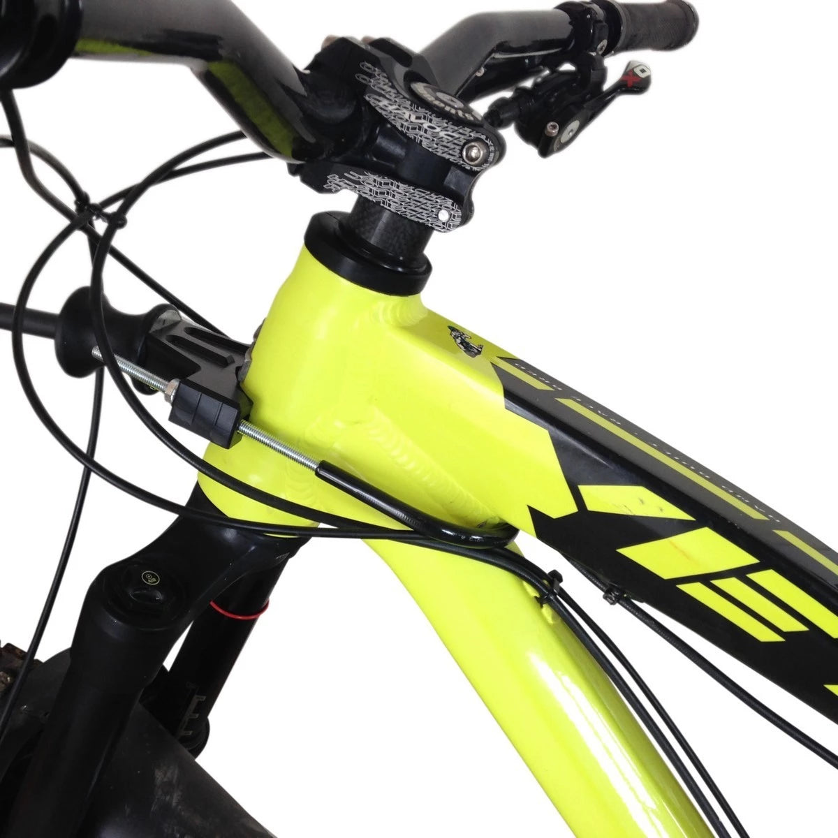 Beginner Bikejoring Package