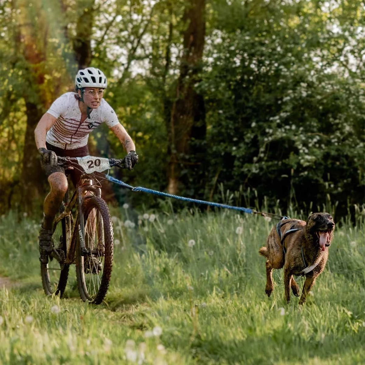 Cani-Mountainbike-Performance-Paket