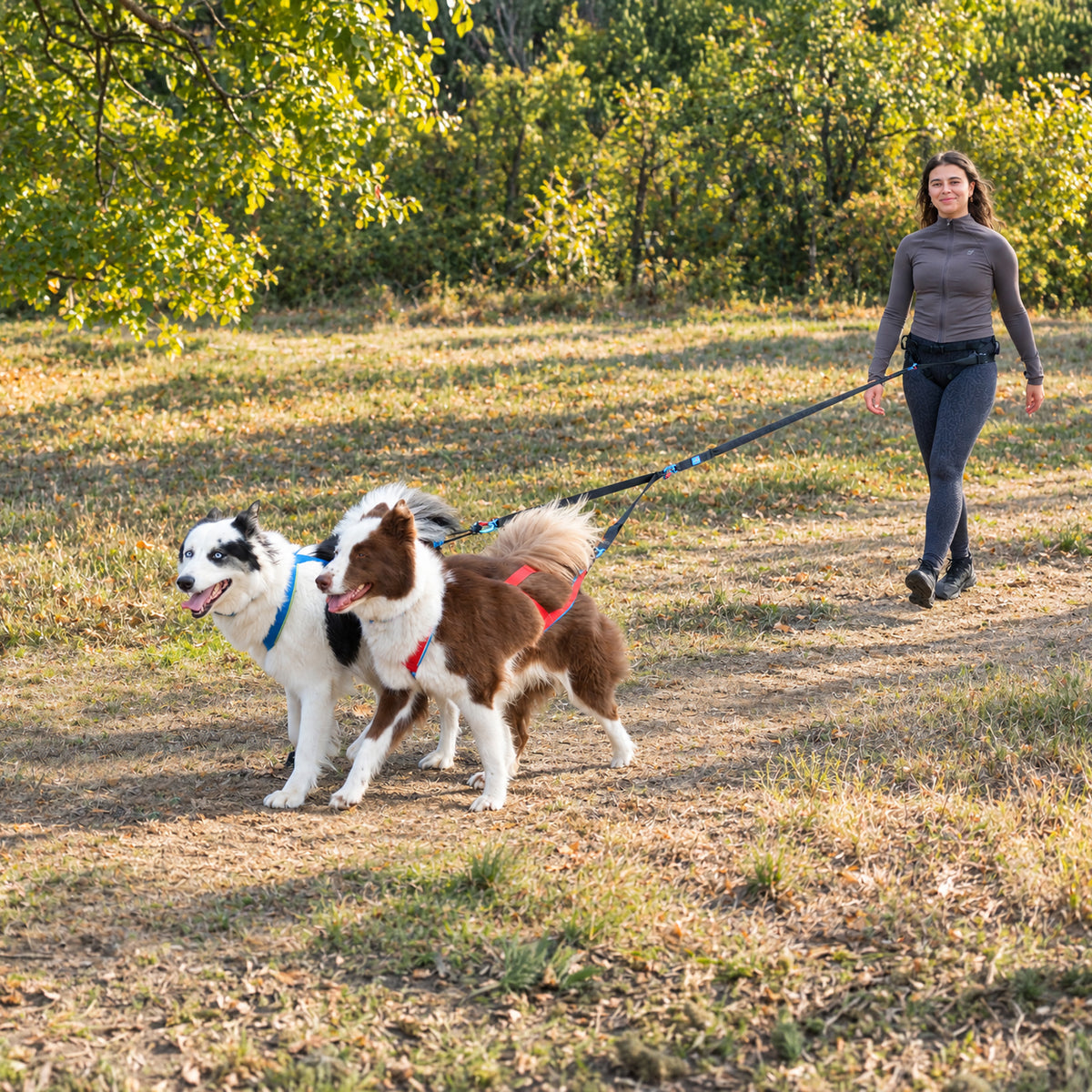 TwinLink - Two-dog coupling traction