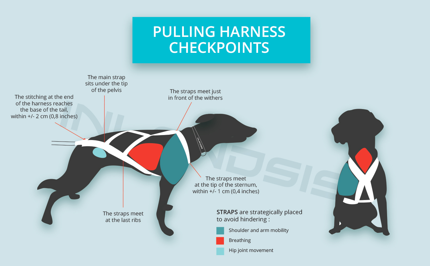 Canicross harness checkpoints